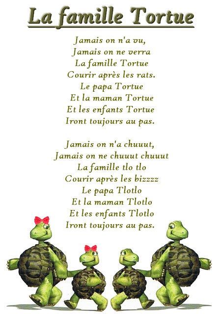 La Famille Tortue